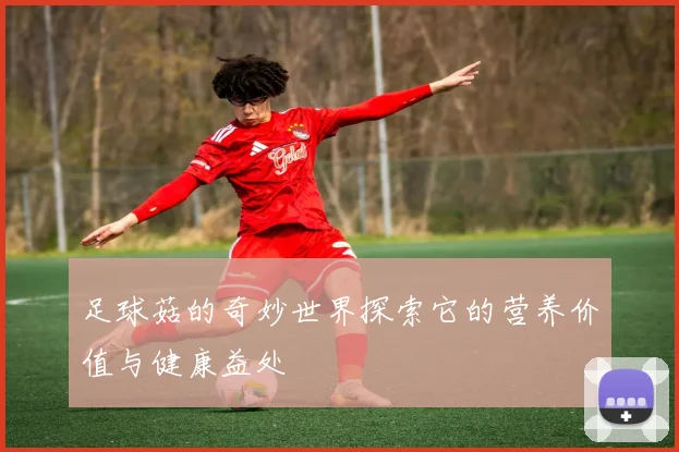 足球菇的奇妙世界探索它的营养价值与健康益处